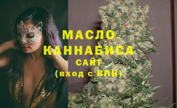 гашик Вязьма