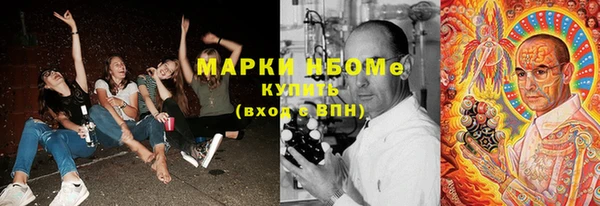 гашик Вязьма