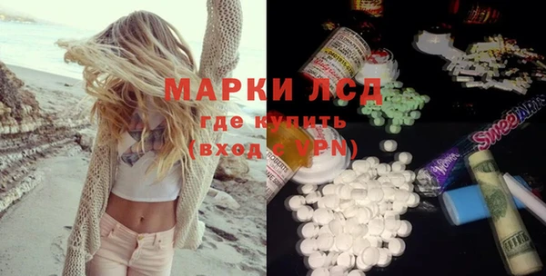 гашик Вязьма