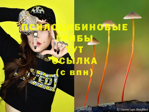 гашик Вязьма
