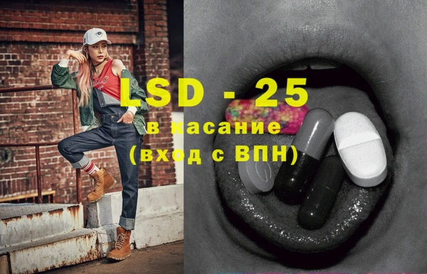 гашик Вязьма