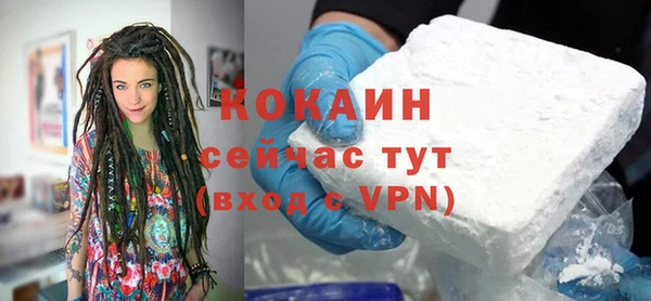 гашик Вязьма