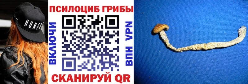 Галлюциногенные грибы мицелий  купить   Гурьевск 