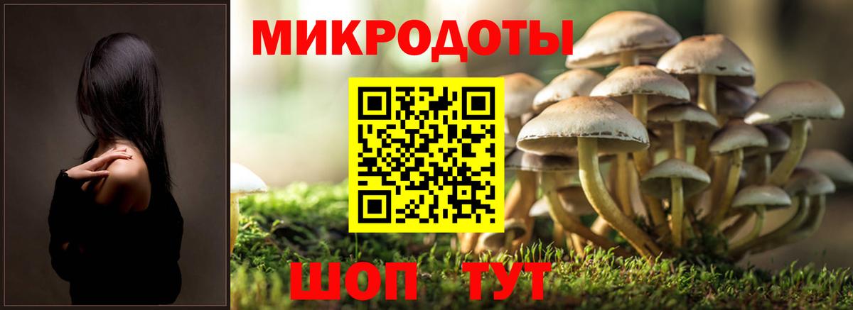 Псилоцибиновые грибы мицелий  наркотики  Гурьевск  Вход с VPN 