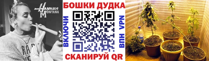 МАРИХУАНА SATIVA & INDICA  купить наркотики цена  Гурьевск 